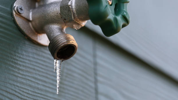 Best Residential Plumbing Services  in Rancho Laveras, CA